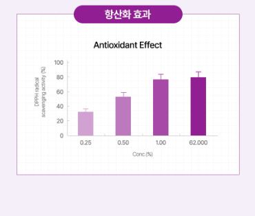 [코리아나] 한방미인 화영지 6종세트