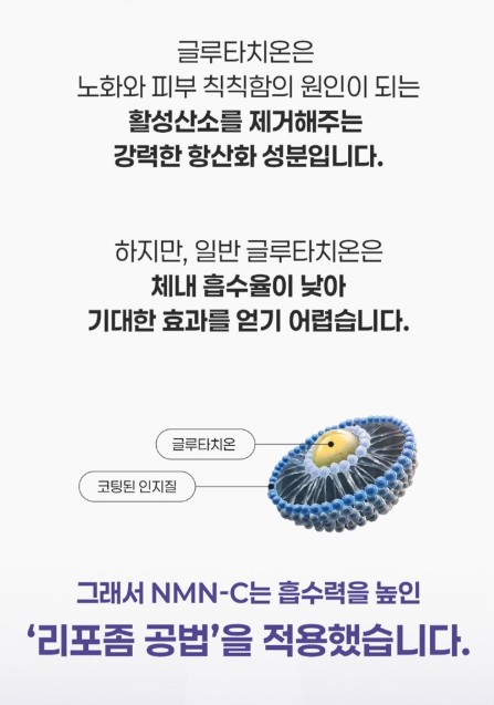상품코드 : JYB005 예전같지 않다면, 쁘띠 엔엠엔C 이너뷰티 NMN 2gx10포