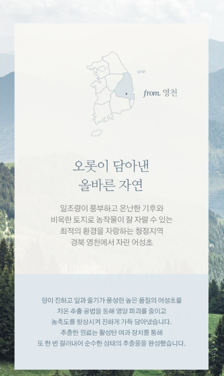 상품코드 : K630 어성초 49 약산성 리페어 트리트먼트 (카톤발주용)
