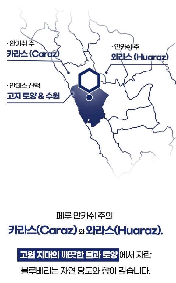 시너지엔 블루베리 퓨레 100