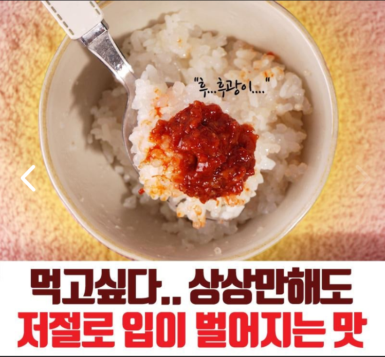 상품코드 : FD009 젓갈담는마을 특제양념 오징어젓갈 500g
