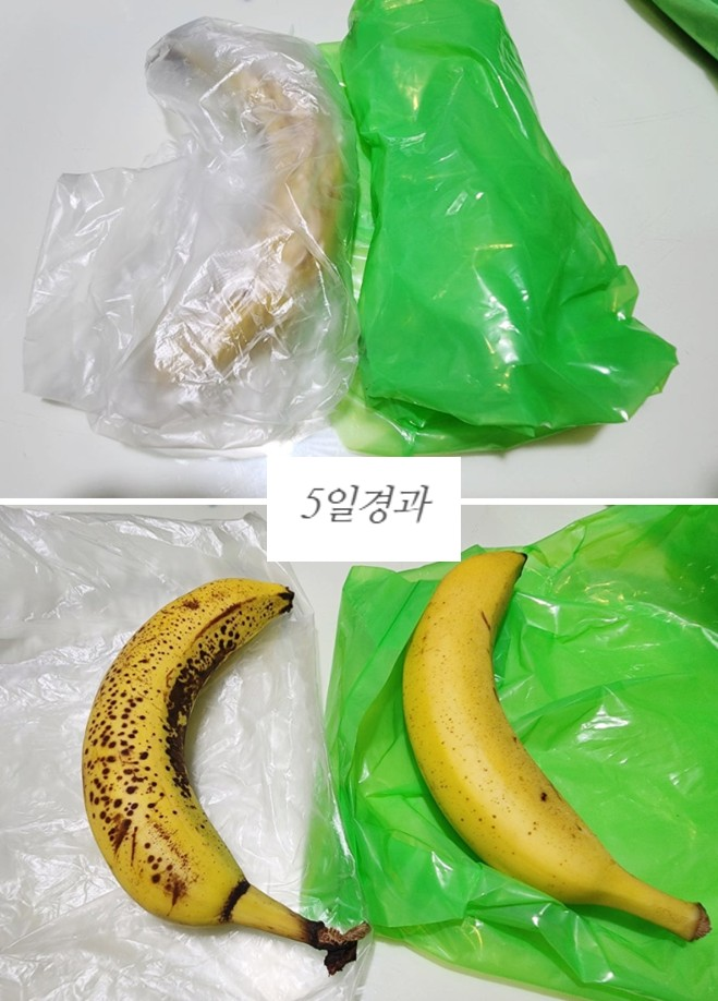 상품코드 : ASL003 저장혁명 신선보관 마법 롱롱그린백