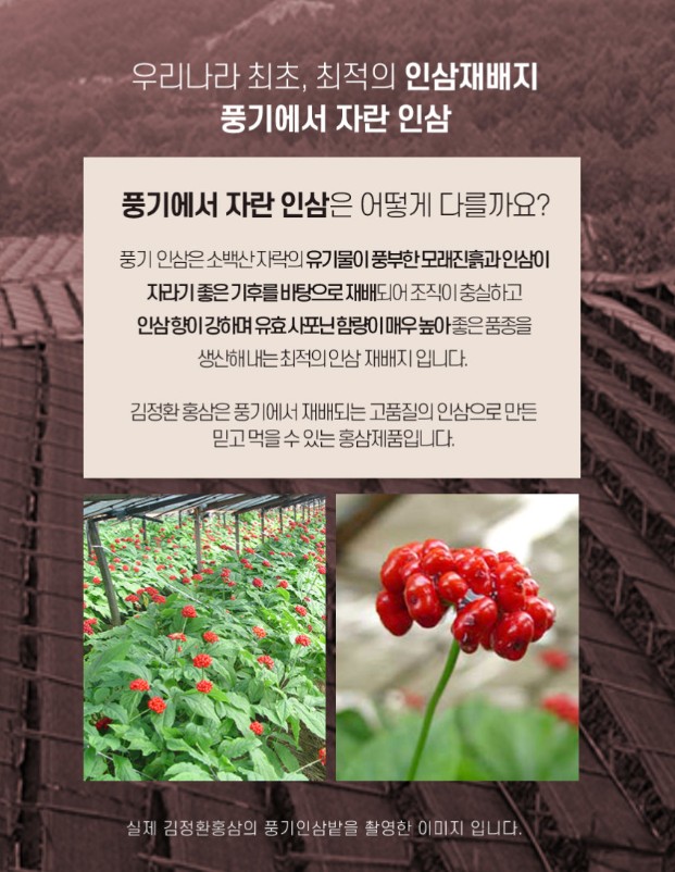 상품코드 : KJH002 김정환 홍삼 캔디 500g
