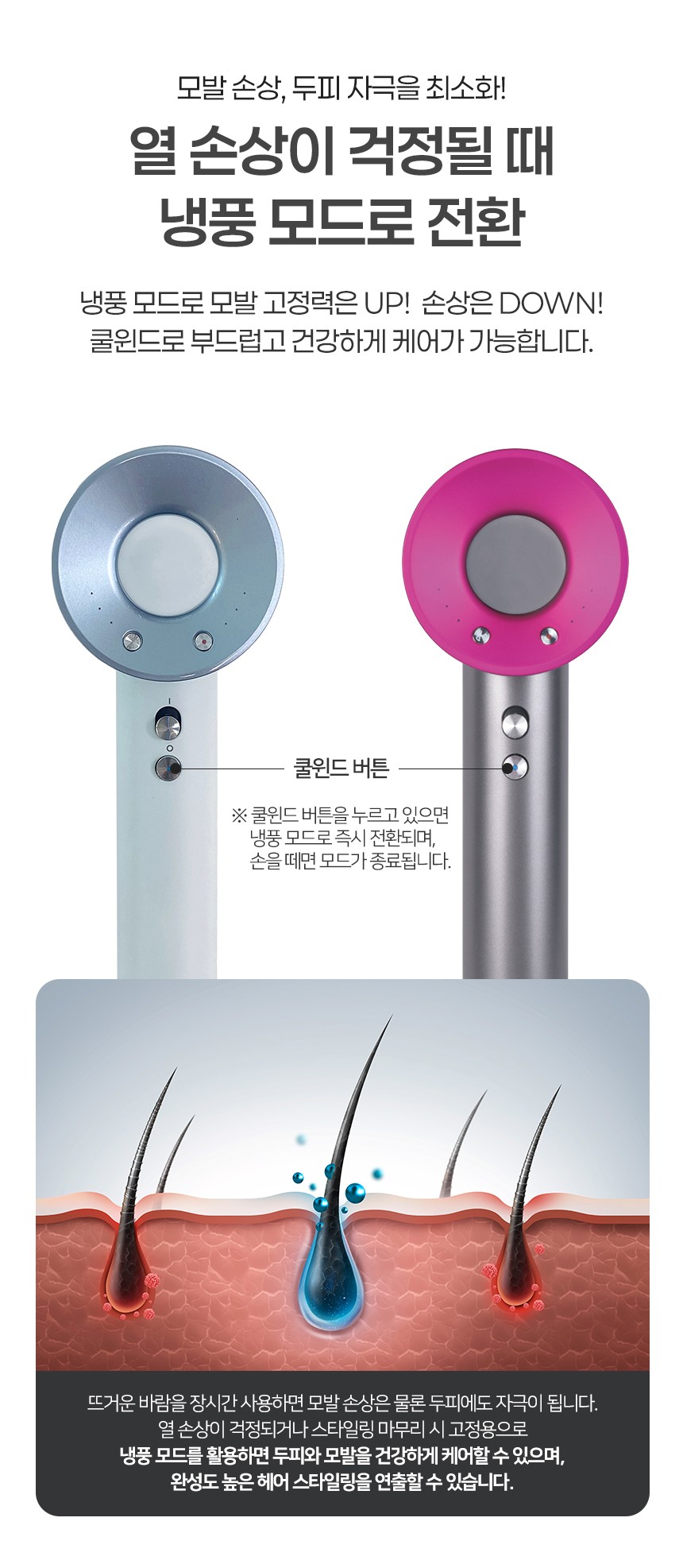 상품코드 : BE022 [벤하임] BLDC 제트 드라이어 퍼플 001DBK (카톤발주용))