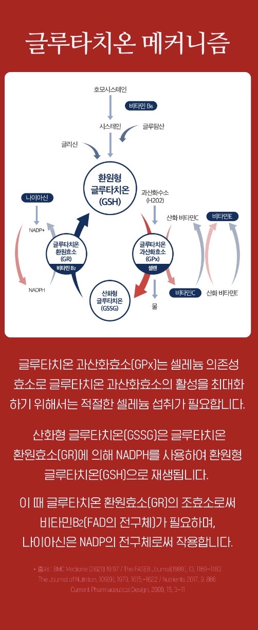 50X 글루타치온 터치 이지멜팅 2gX30포