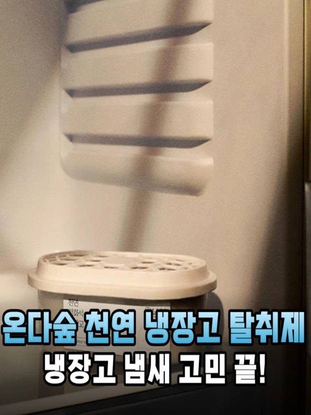 온다숲 반영구 숯10배 냉장고탈취제 300g