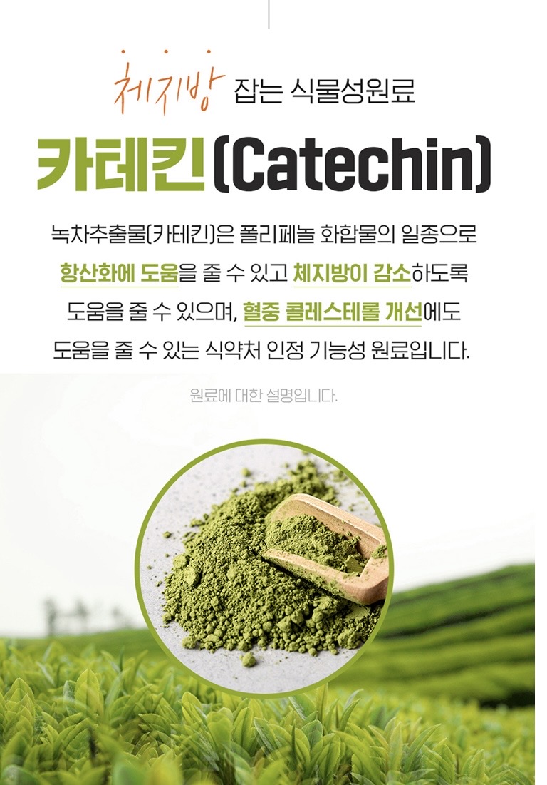 카테킨 정 플러스 1100mgX28정