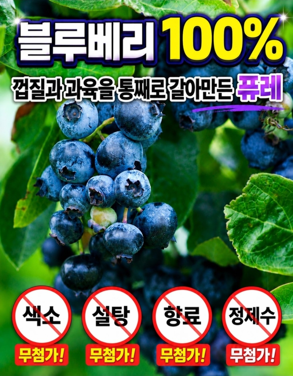 네세서리 블루베리퓨레 100 (20g*14포)