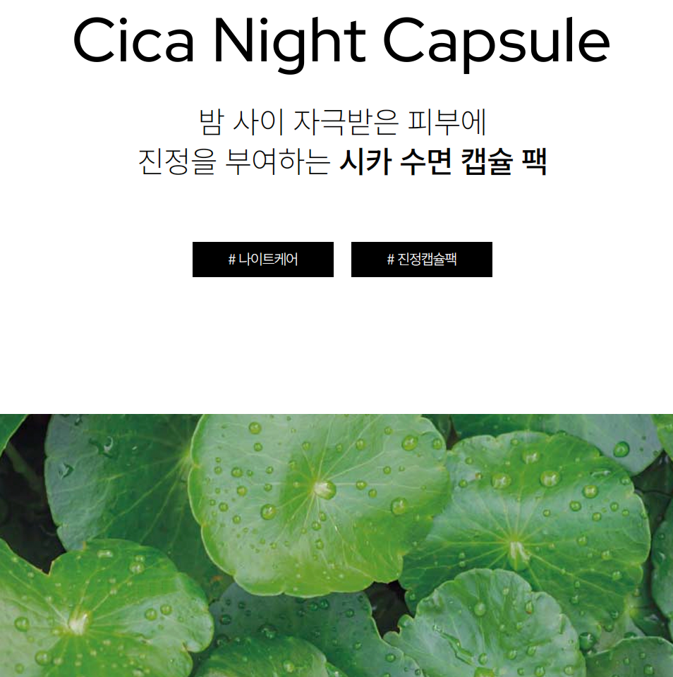 더포션스 시카 나이트 캡슐 6캡슐
