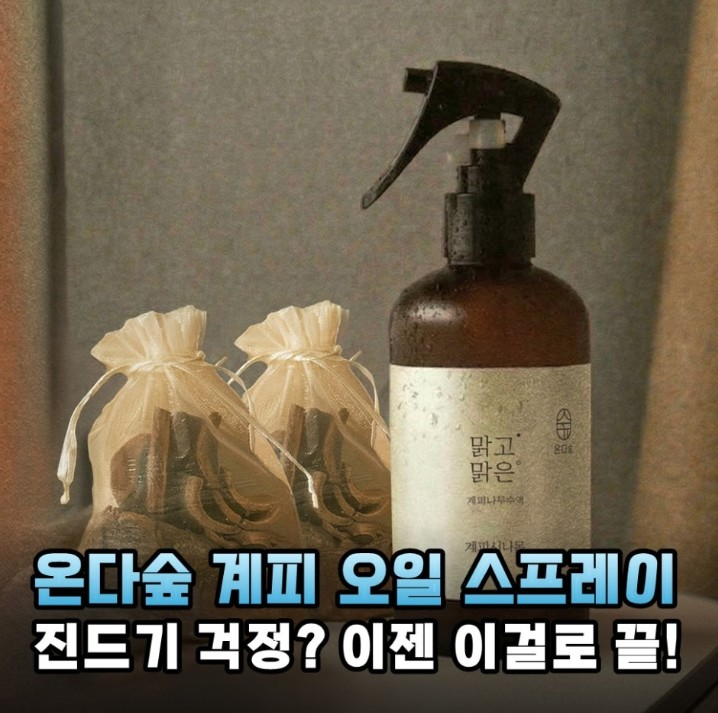 온다숲 계피스프레이 탈취제 250ml