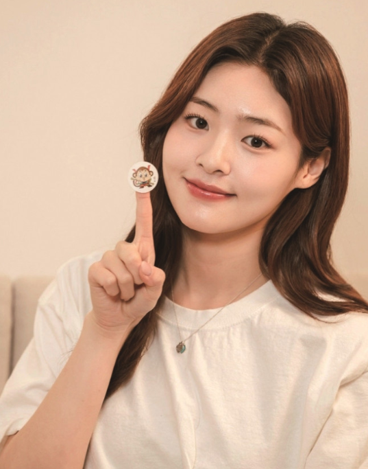 (벌레기피용 인증) 십이지신 썸머패치 48매