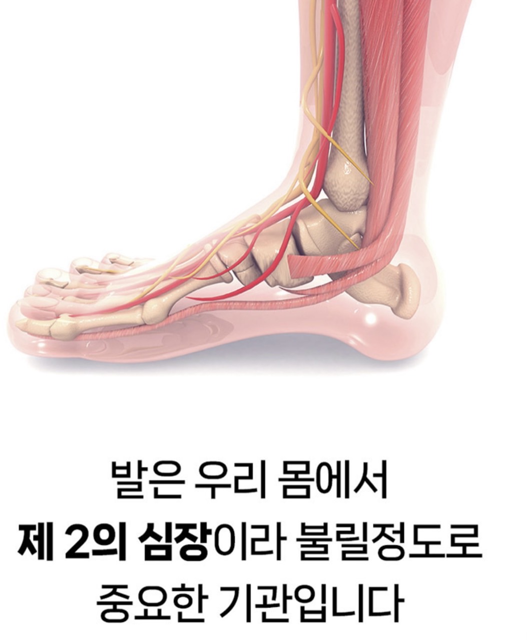 상품코드 : K640 [레츠퀸] EMS 프리미엄 발 마사지기 (카톤발주용)