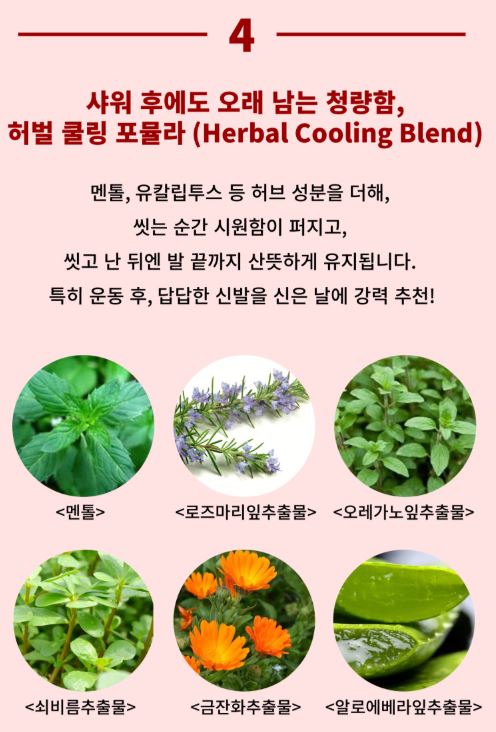 메디퓨리 퓨리스텝 풋 스케일링 샴푸 200ml