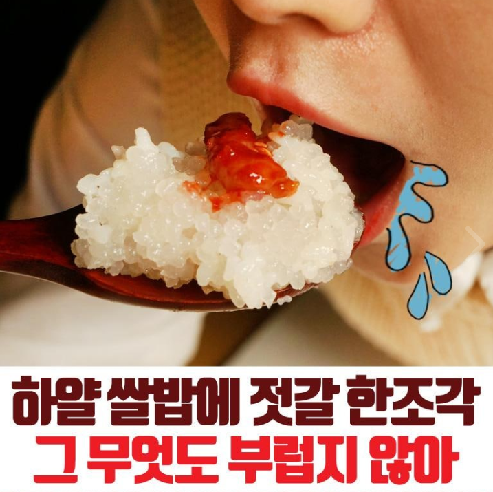 상품코드 : FD009 젓갈담는마을 특제양념 오징어젓갈 500g