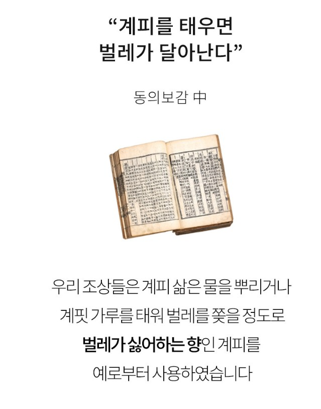 온다숲 계피스프레이 탈취제 250ml