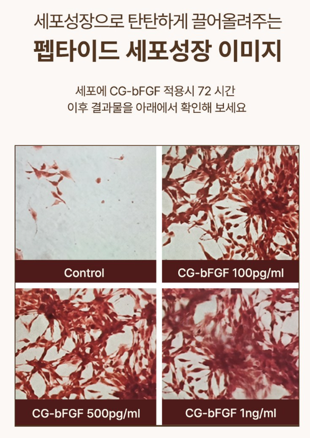 사빈 녹는실 가득 실크 펩타이드 리프팅 앰플 100ml