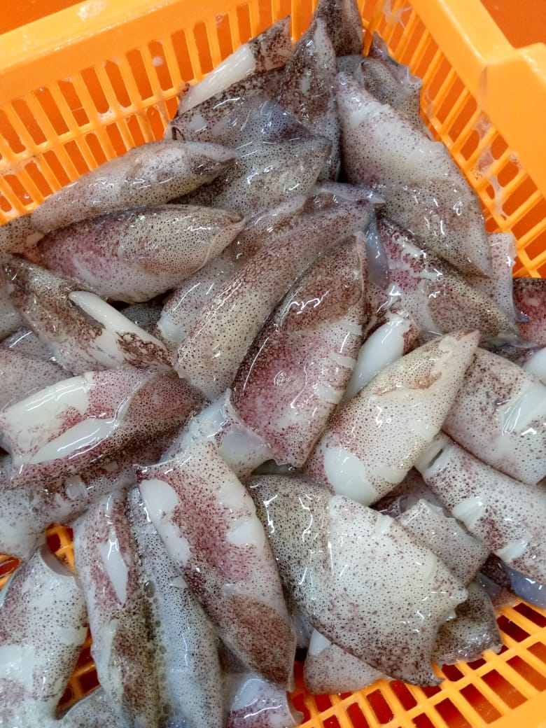 상품코드 : ODM002 맛집스타일 오징어물회[1인용]
