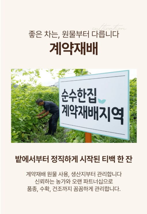 상품코드 : SSH002 국산 볶은 우엉차 티백 50개입