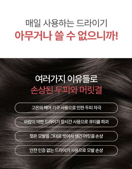 벤하임 BLDC 파워 드라이어 004DBK