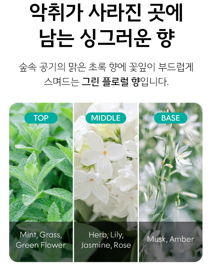 룸케어 탈취제 150ML 블루밍포레스트향