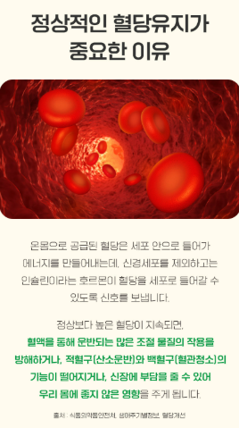 상품코드 : K667 장인정신 에브리데이 혈당관리 바나바잎 60캡슐