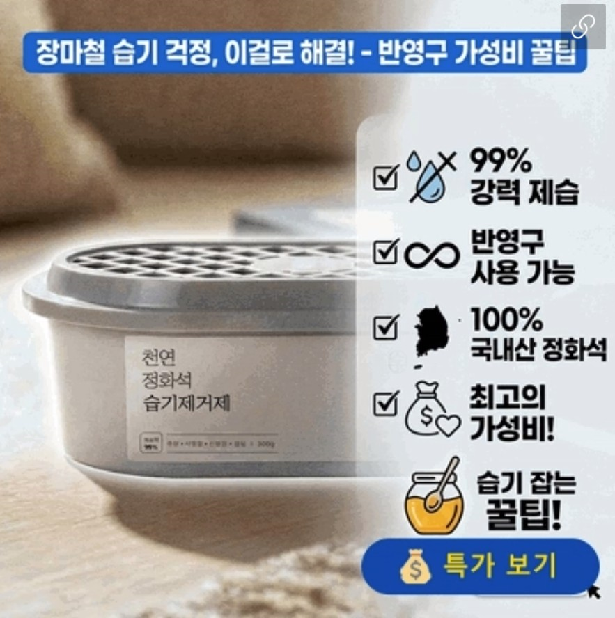 온다숲 국산100% 반영구 천연제습제 300g