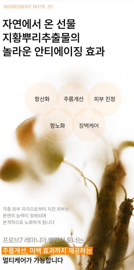 PROVE7 레마니아 밸런싱 토너 200ml