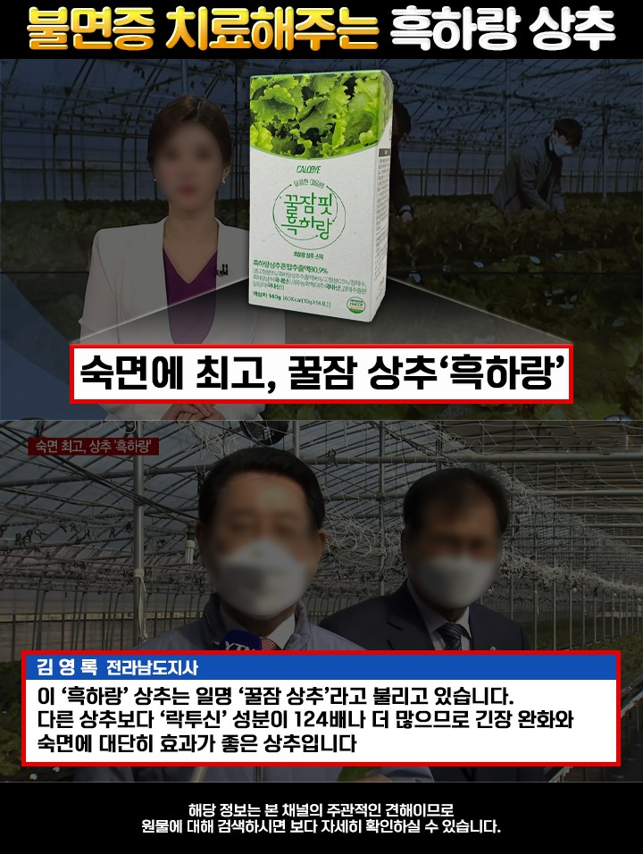만성 불면증해결 꿀잠핏 흑하랑 10g * 14포