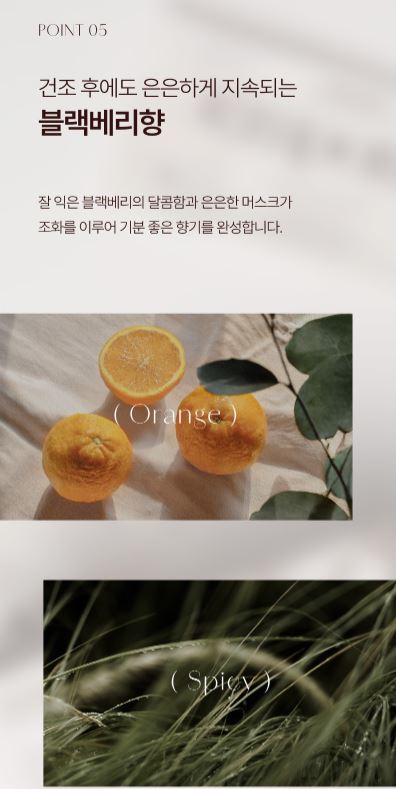 템포러리 퍼퓸 건조기시트 블랙베리향 40매입