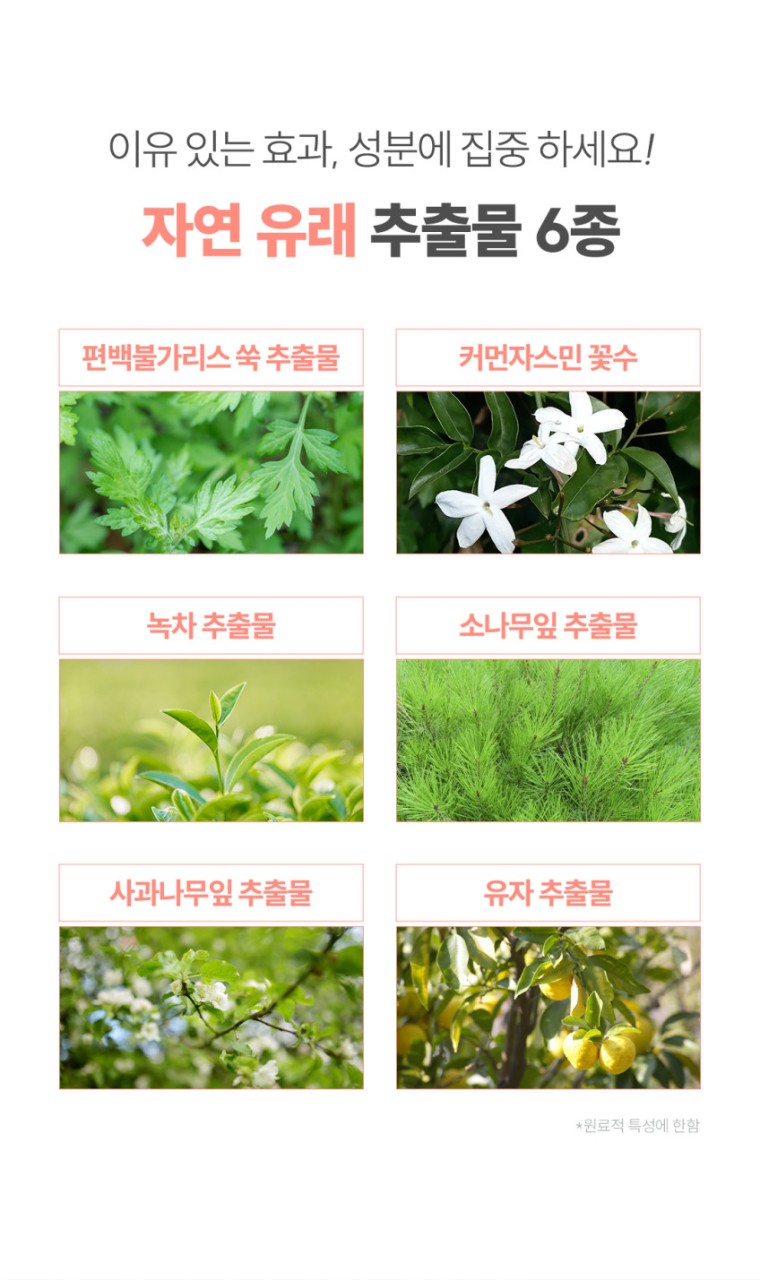 상품코드 : CO003 에티스 저자극 여성청결티슈 5개입
