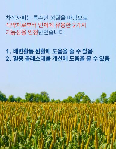 황금구렁이 오리지널 5.1g × 30포