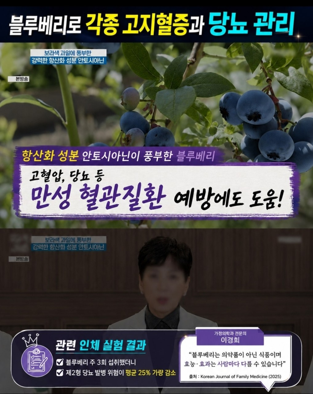 네세서리 블루베리퓨레 100 (20g*14포)