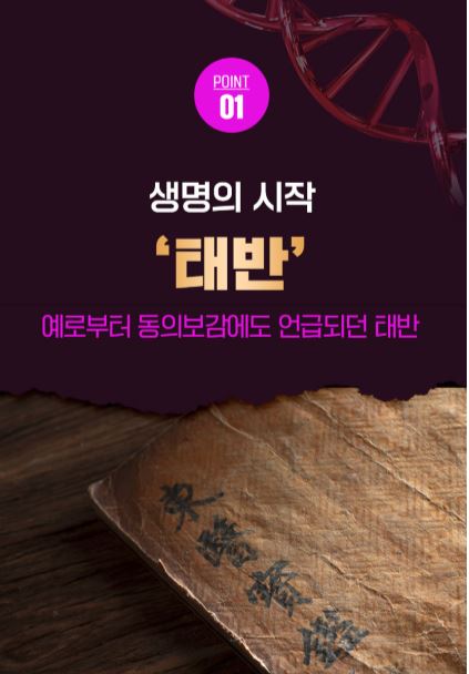 네이처드림 황제 양태반 20g*30병