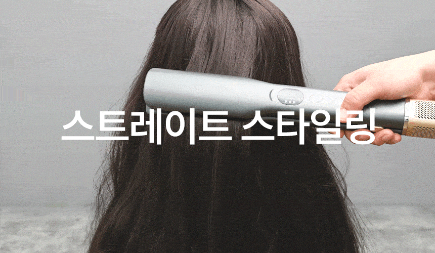 AUTONIT 오토닛 2IN1 프리미엄 BLDC 에어스트레이트너 BY-8501