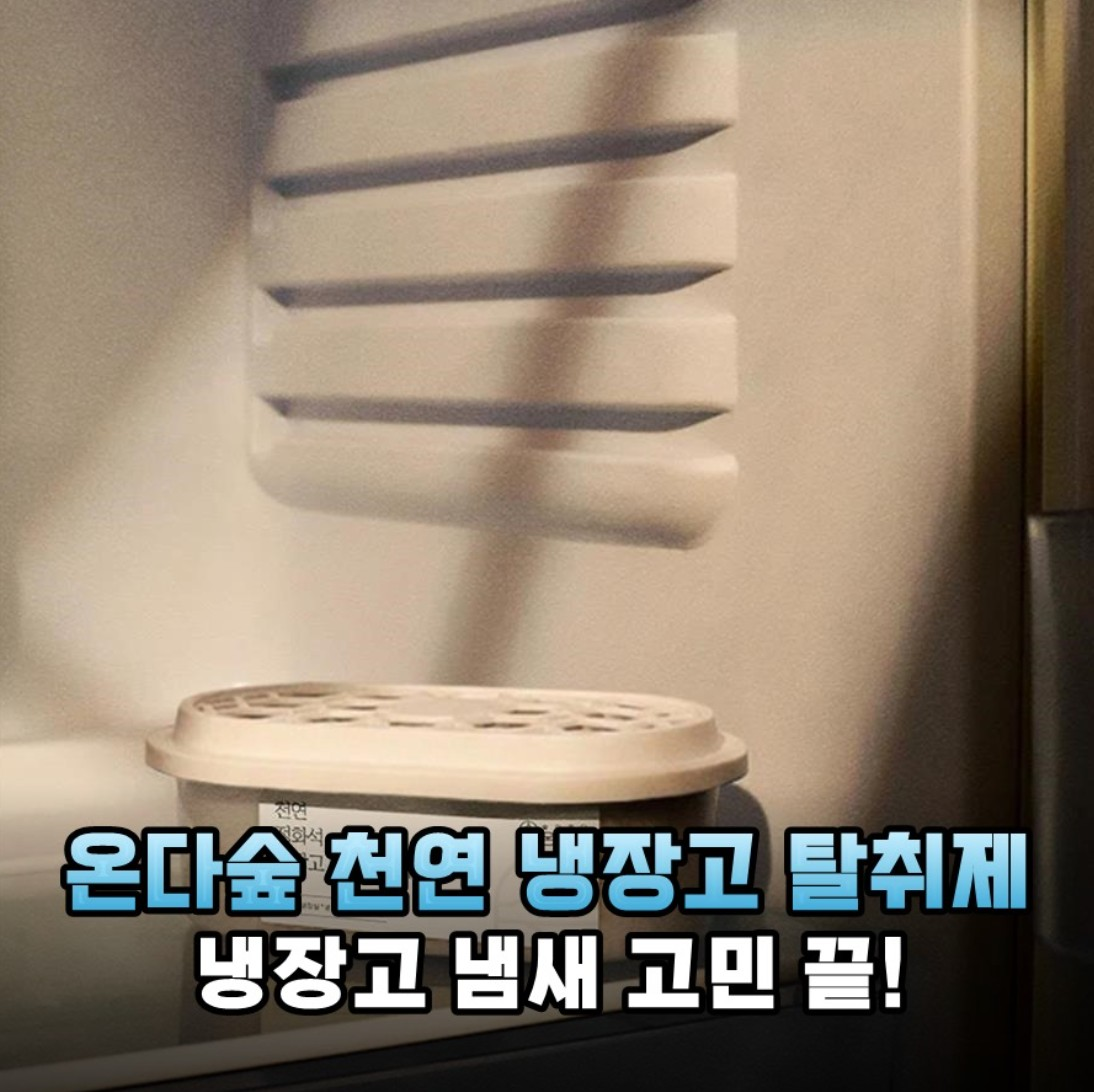 온다숲 반영구 숯10배 냉장고탈취제 300g