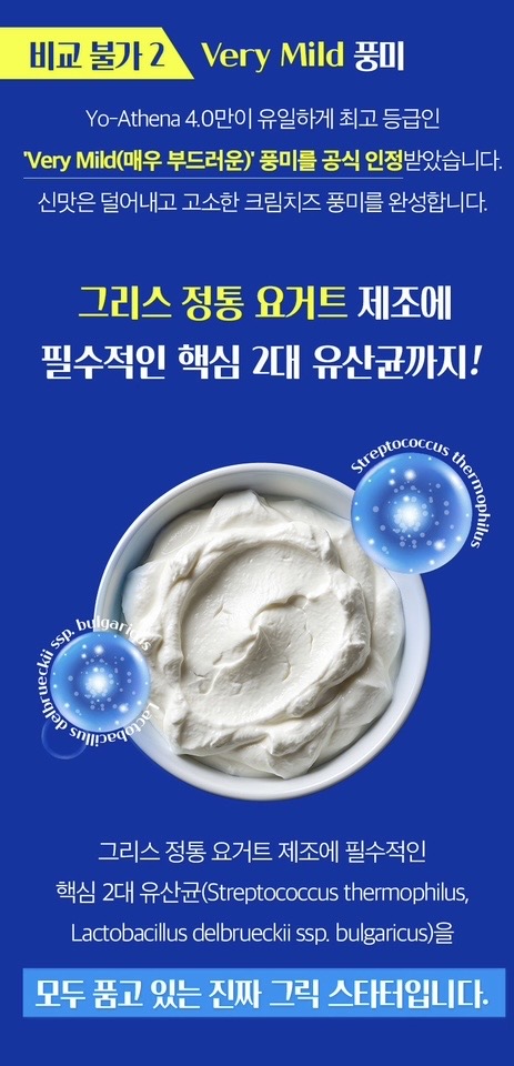 상온발효 그릭요거트 스타터 3gX10포