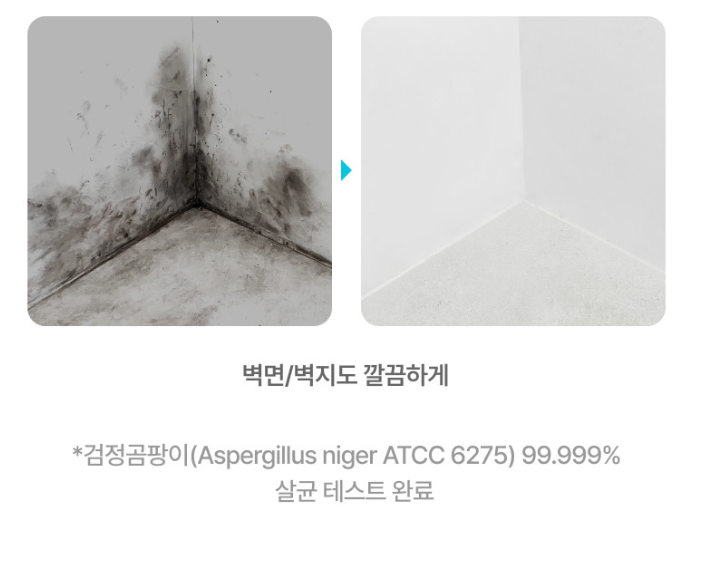 청소연구소 청소전문 곰팡이 제거제 400ml