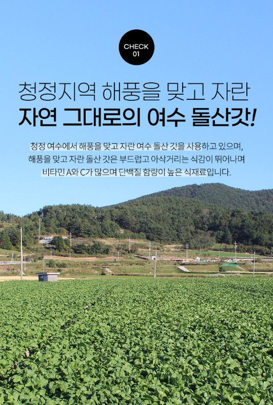 상품코드 : DWR017 엄마 손 맛 그대로, 건강한 한끼 여수 돌산 갓 시래기 500g