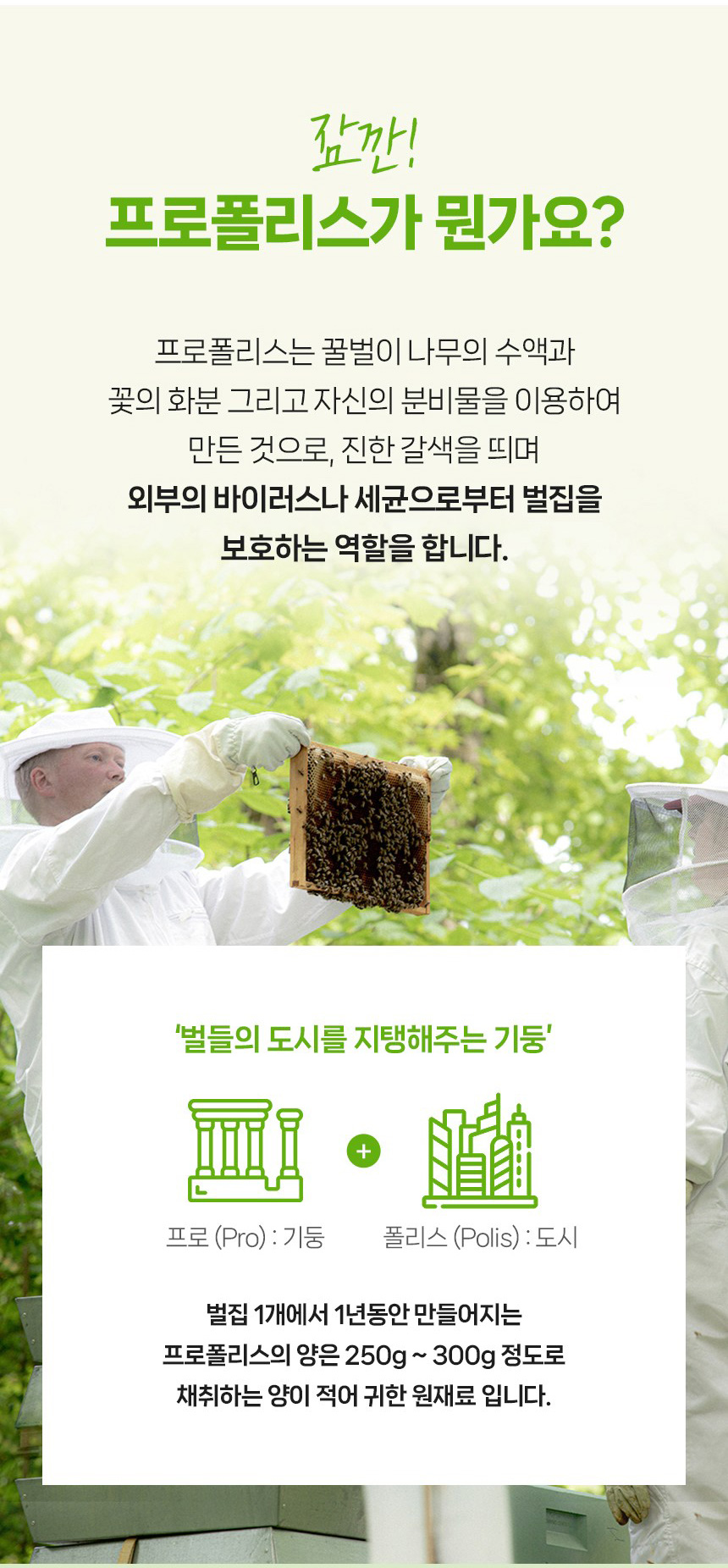 상품코드 : MN004 [마더네스트] 프로폴리스 스프레이 위드 마누카 허니 30ml