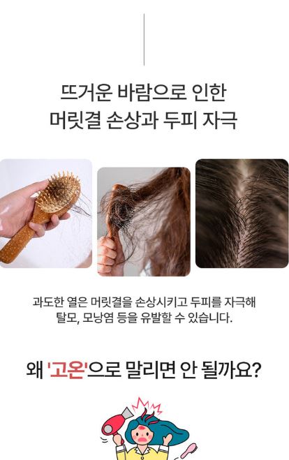 벤하임 BLDC 파워 드라이어 004DBK