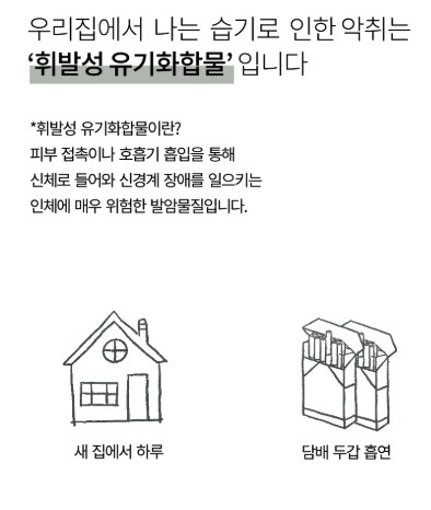 온다숲 국산100% 반영구 천연제습제 300g