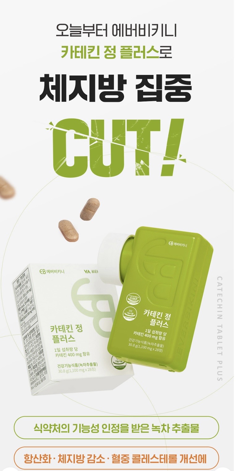 카테킨 정 플러스 1100mgX28정