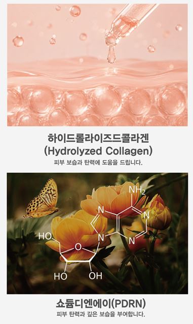 레이데이 살몬퓨어 리페어 폼클렌징 100ml