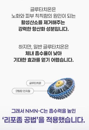 쁘띠 엔엠엔C 이너뷰티 NMN