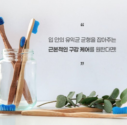 상품코드 : NY007 로보카폴리 덴티자일리톨 특허 구강유산균 2g 200정